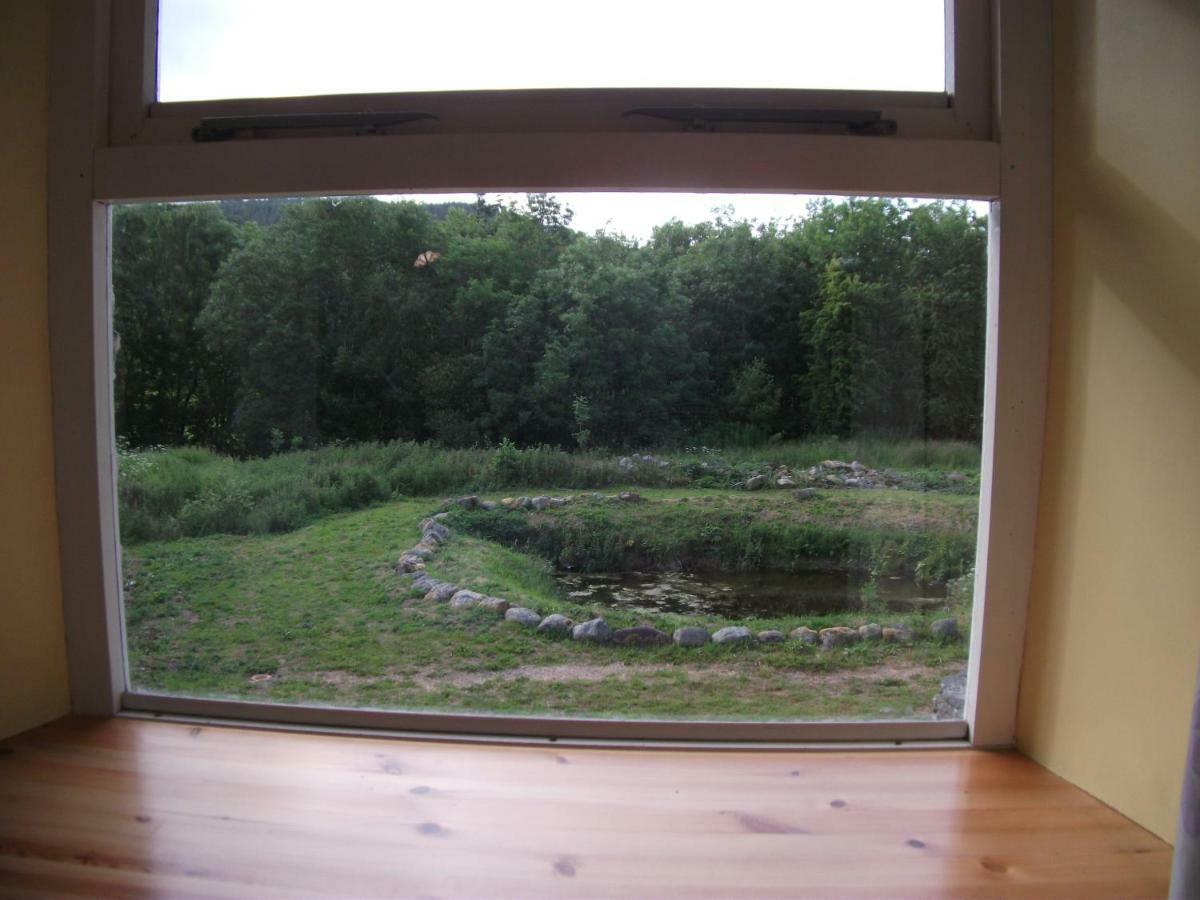 Bryn Cottage Llandderfel Buitenkant foto