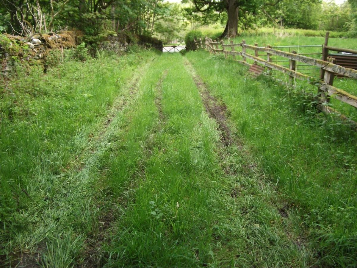 Bryn Cottage Llandderfel Buitenkant foto